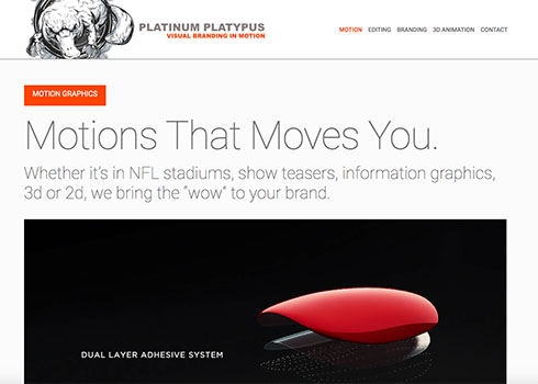 Platinum Platypus Service Page Template with Video